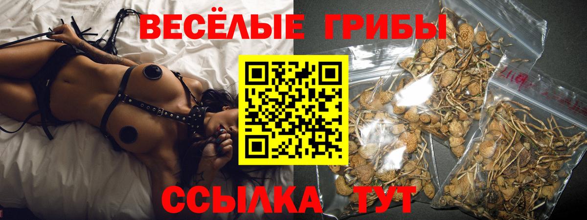 Галлюциногенные грибы GOLDEN TEACHER Ковров